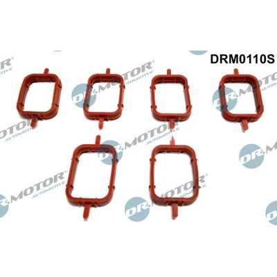 DR.MOTOR AUTOMOTIVE Sada tesnení kolena nasávacieho potrubia DRM0110S