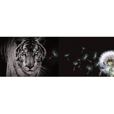 Preinterier FT0223 Fototapeta na stenu Tiger a púpava vlies 620cm x 219cm