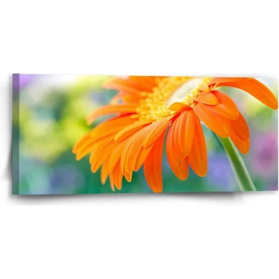 Sablio Obraz Oranžová gerbera - 110x50 cm