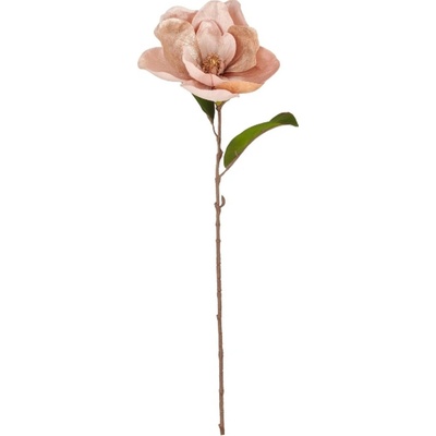 Umělá květina magnólie výška 76 cm Gasper - champagne