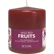 ROURA Wild Red Fruits 250 g
