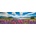 Heye - Puzzle Lake Tekapo panorama - 1 000 piese