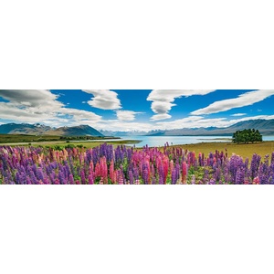 Heye - Puzzle Lake Tekapo panorama - 1 000 piese