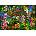 Castorland - Puzzle Color Competition - 1 500 piese