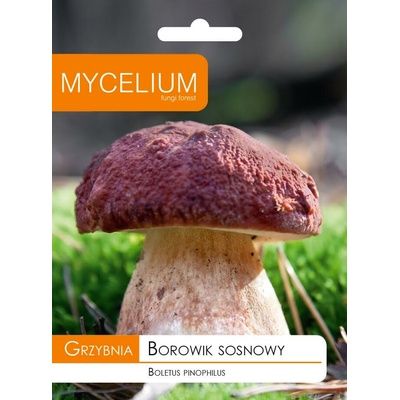 Mycelium Podhoubí smrkového hřibu 10g