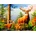 Norimpex - Puzzle Diamant painting: Deer in the mountains 30x40 cm - 1 - 39 piese