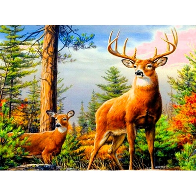 Norimpex - Puzzle Diamant painting: Deer in the mountains 30x40 cm - 1 - 39 piese