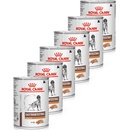 Royal Canin VHN Gastrointestinal 6 x 410 g