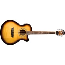 Washburn EA15