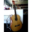 Fender ESC105
