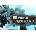 Strike Vector