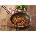 Katadyn Вкусно месо с ориз и подправки GOURMET (30202001)