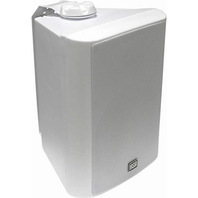 BS Acoustic PS530
