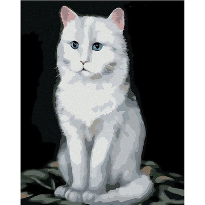zuty Malování Podle Čísel Bílý Kocour 2 Myroslava Voloschuk 80 x 100 Cm Plátno Rám