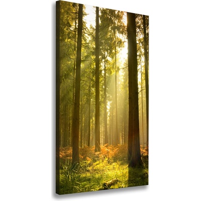 Vertikálny foto obraz na plátne do obývačky Pekný les 50x100 cm