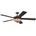 Westinghouse Comet Tiffany (72485)