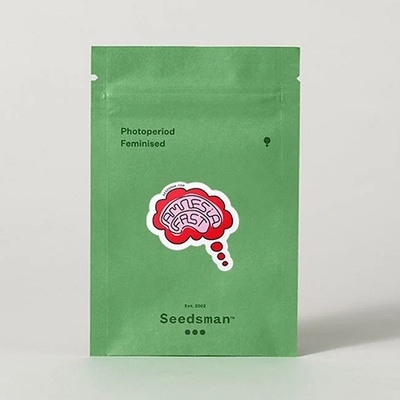 Seedsman Amnesia Fast semienka neobsahujú THC 5 ks