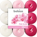 Bolsius Basic Pink Orchid 18 ks
