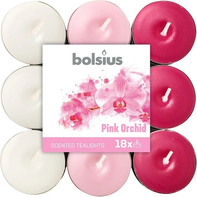 Bolsius Basic Pink Orchid 18 ks