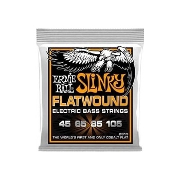 Ernie Ball 2813