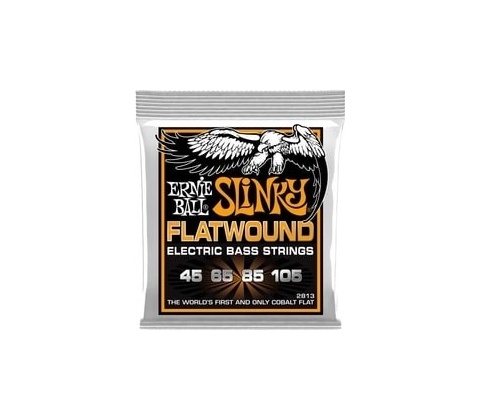 Ernie Ball 2813
