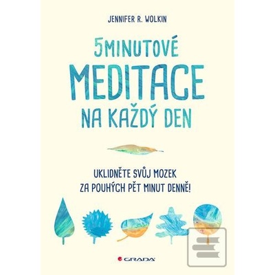 5minutové meditace na každý den - Uklidněte svůj mozek za pouhých pět minut denně!