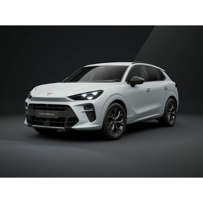 Cupra Terramar 1.5 eTSI DSG 110 kW
