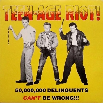 Various Artists - Teen-Age Riot! LP