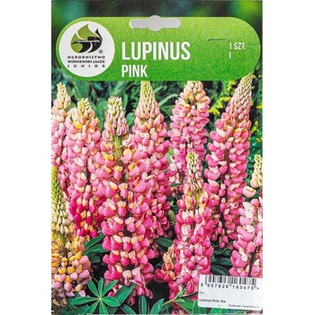 Lupina, Lupinus Pink, Jacek, růžová, 1 ks