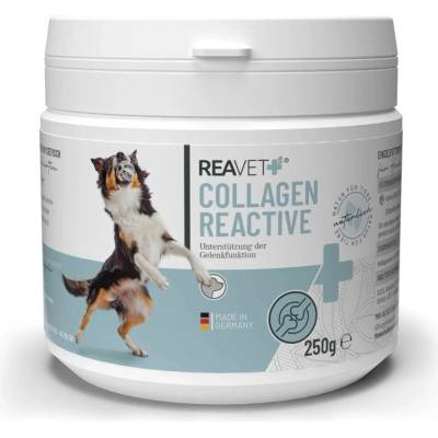 Reavet Kolagen Reactive pro zdravou funkci kloubů a kostí 250 g