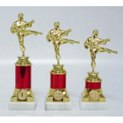 VIZINGR Karate trofeje MUŽ 30-F10 21 cm