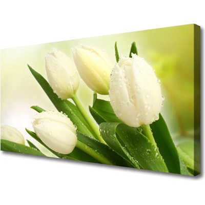 Obraz na plátne Tulipány kvety rastlina 100x50 cm