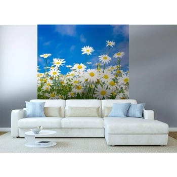 DIMEX ART s. r. o Флизелинов фототапет маргаритки 225 x 250 см