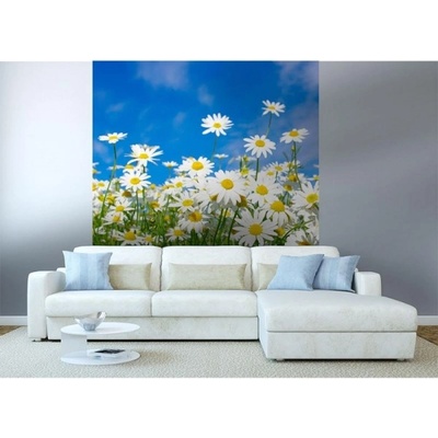 DIMEX ART Флизелинов фототапет маргаритки 225 x 250 см