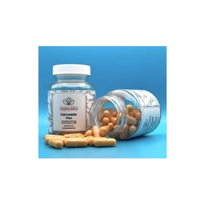 Curcumin Plus 60 kapslí