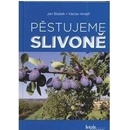 Pěstujeme slivoně