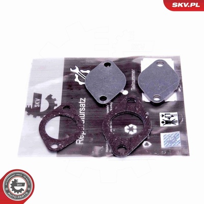 Súprava na opravu, ventil AGR ESEN SKV 14SKV562 14SKV562