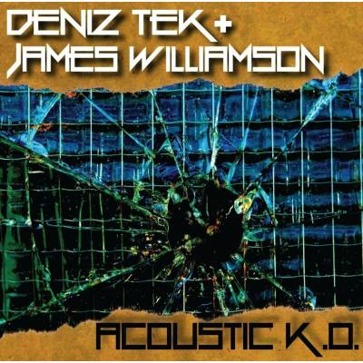 Deniz Tek & James Williamson - Acoustic K.O. (EP)