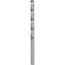 Bosch 2608595691