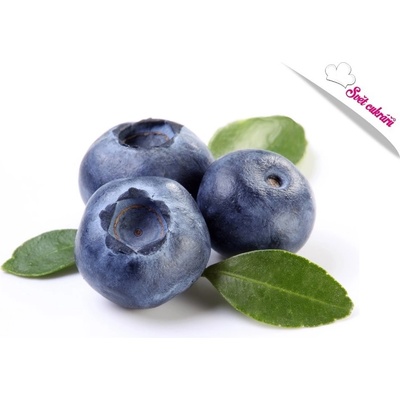 Zeelandia Frutafill borůvkový 6 kg
