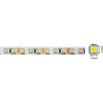 VITO LED лента 12V, 9.6W/метър, 120 LEDs/метър, 4000K - VITO (5501196)