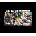 God Eater Trilogy