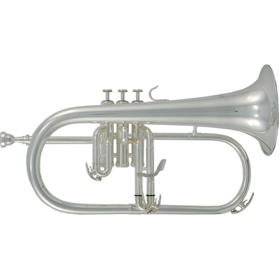 Roy Benson Bb FH 302S Pro Serie postříbřená