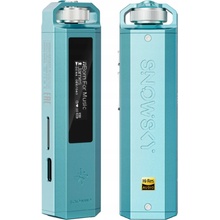 FiiO SNOWSKY Echo Nano