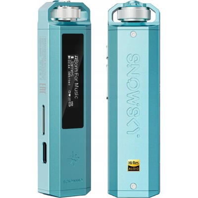 FiiO SNOWSKY Echo Nano