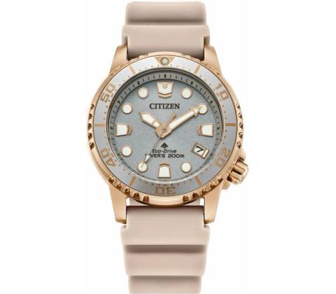Citizen EO2023-00A