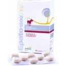 ICF Epato 1500 32 tbl