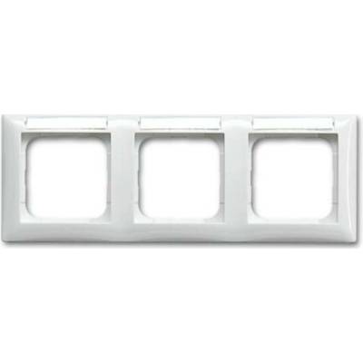 Busch-Jaeger 2CKA001754A4550