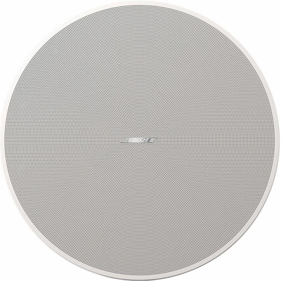 Bose DesignMax DM8C-Sub