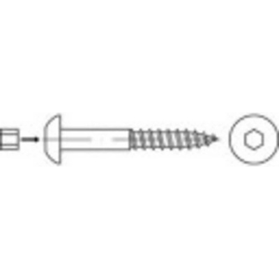 TOOLCRAFT 159347 polkruhové skrutky do dreva 10 mm 130 mm vnútorný šesťhran ocel glavanizované zinkom 50 ks
